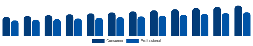 Singapore DSLR Cameras Market Application 2025-2033