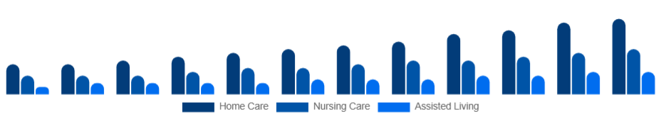 Singapore Elderly Care Market Service Type 2025-2033