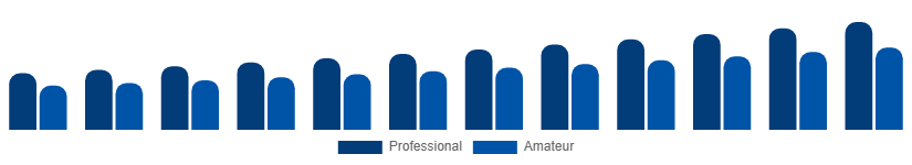 Singapore Musical Instruments Market End Use 2025-2033