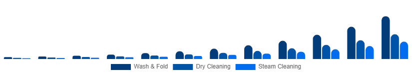 Singapore Online Laundry Service Market Service Type 2025-2033