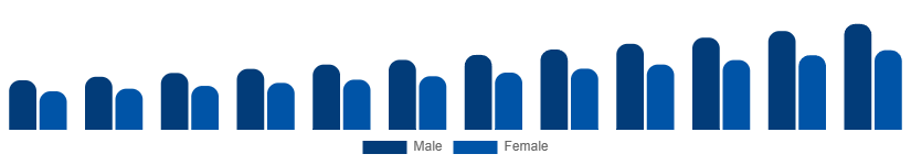 Singapore Private Label Cosmetics Market End User 2025-2033