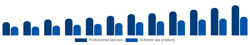 Singapore Spa Products Market End-user 2025-2033