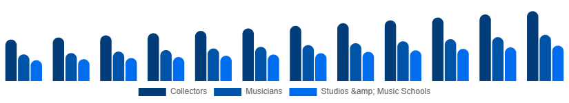 Singapore Vintage Guitars Market Application 2025-2033