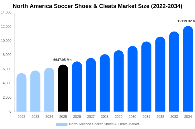 North America Soccer Shoes & Cleats Market Size, Share & Growth Report By [2034]
