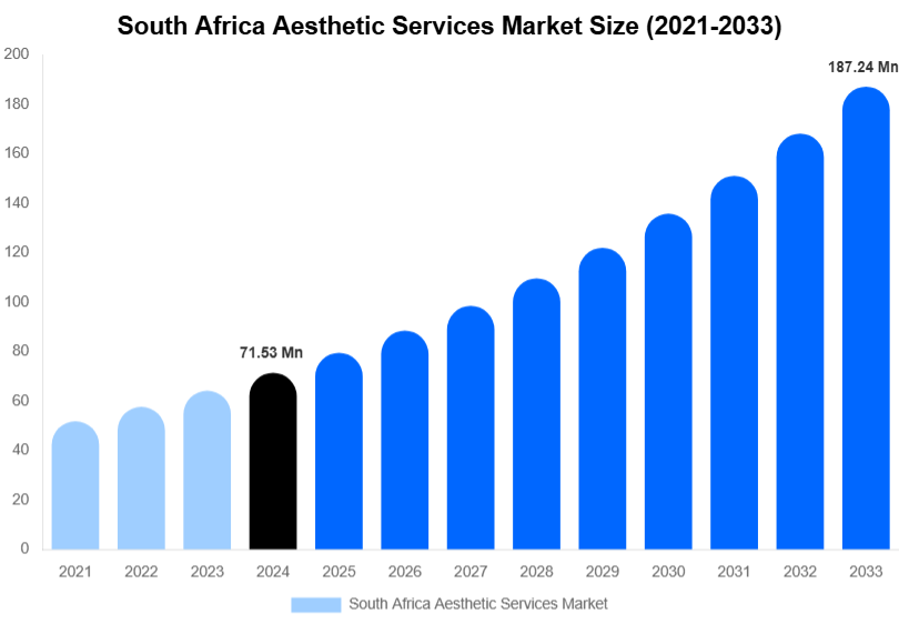 South Africa Aesthetic Services Market Size, Share & Growth Report By [2033]