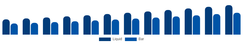 South Africa Antibacterial Soap Market Formulation 2025-2033