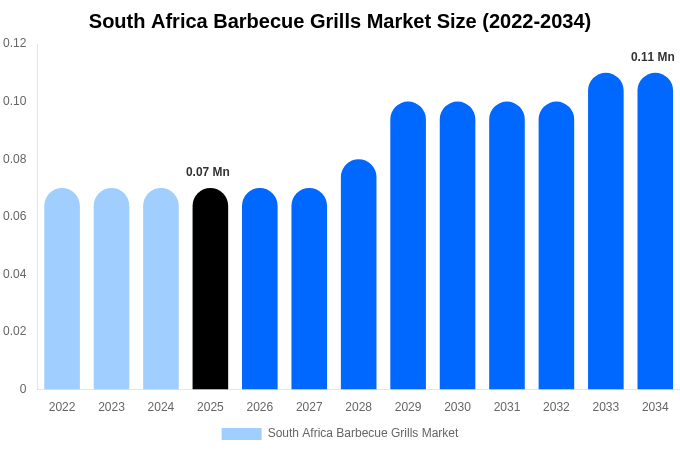 South Africa Barbecue Grills Market Size, Share & Trends Report By 2034