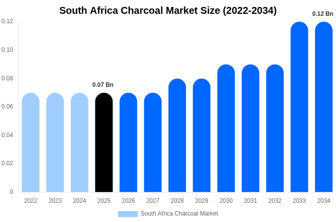 South Africa Charcoal Market Size, Share & Growth Report By 2034