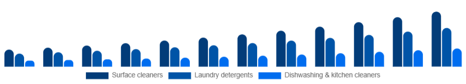 South Africa Eco-Friendly Cleaning Products Market Product type 2025-2033