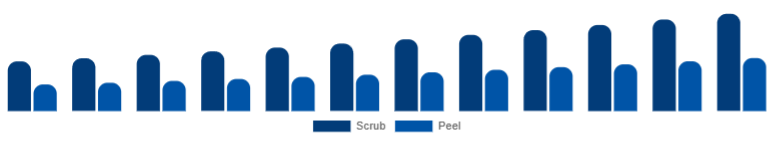 South Africa Exfoliators & Scrubs Market Type 2025-2033