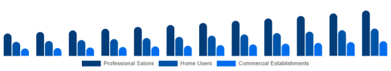South Africa Hair Care Devices Market End-User 2025-2033