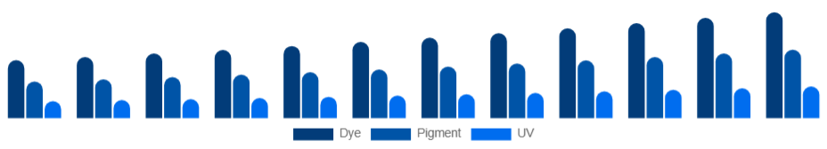 South Africa Inkjet Printers Market Ink Type 2025-2033