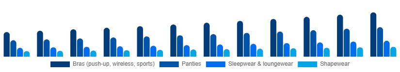 South Africa Intimate Lingerie Market Product Type 2025-2033