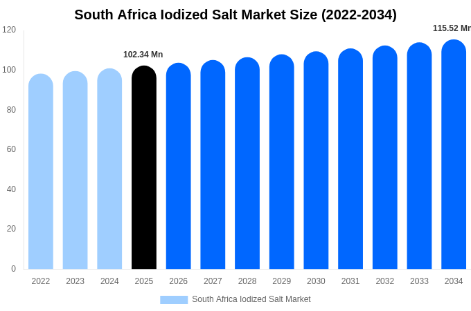 South Africa Iodized Salt Market Size & Share Report By 2034
