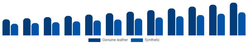 South Africa Leather Goods Market Material 2025-2033