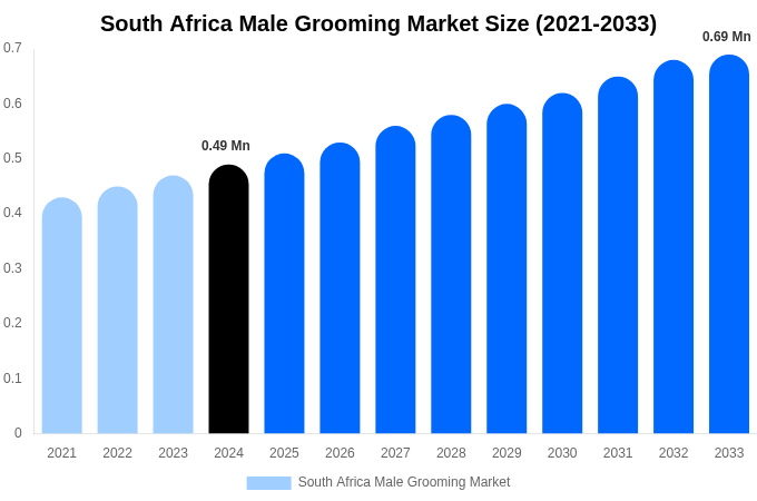 South Africa Male Grooming Market Forecast Analysis (2025-2033)