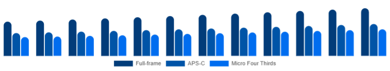 South Africa Mirrorless Camera Market Sensor Format 2025-2033