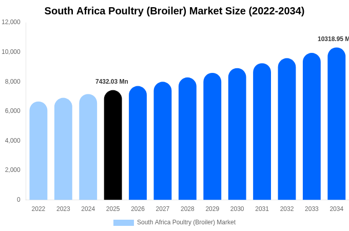 South Africa Poultry (Broiler) Market Size, Share & Trends Report By 2034