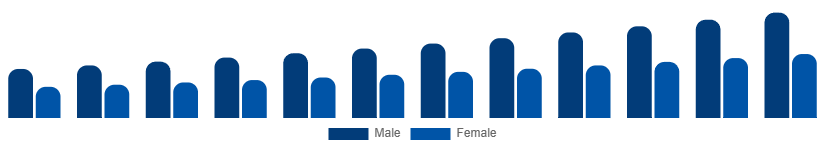 South Africa Private Label Cosmetics Market End User 2025-2033