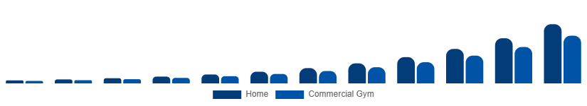 South East Asia Connected Gym Equipment Market End User 2025-2033