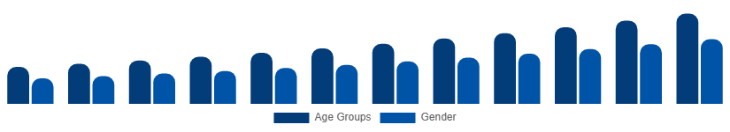 South East Asia Digital Games Market Gamer Demographics 2025-2033