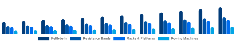 South East Asia Functional Fitness Equipment Market Equipment Type 2025-2033