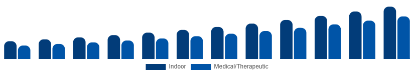 South East Asia Heated Slippers Market Use Case 2025-2033