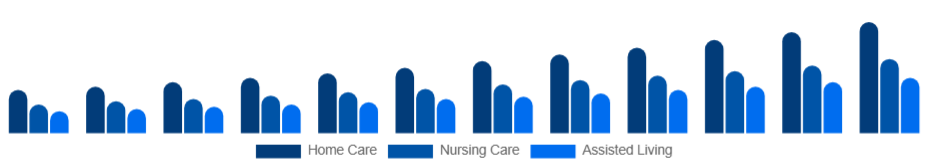 Spain Elderly Care Market Service Type 2025-2033