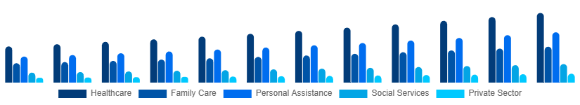Spain Individual and Family Services Market Application 2025-2033