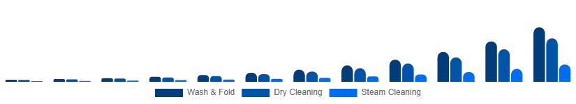 Spain Online Laundry Service Market Service Type 2025-2033