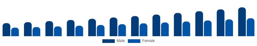 Spain Private Label Cosmetics Market End User 2025-2033