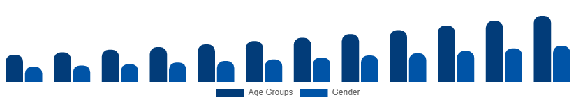 Taiwan Digital Games Market Gamer Demographics 2025-2033
