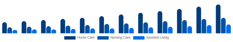Taiwan Elderly Care Market Service Type 2025-2033