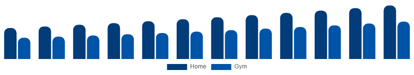 Taiwan Fitness Equipment Market End Use 2025-2033