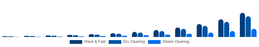 Taiwan Online Laundry Service Market Service Type 2025-2033