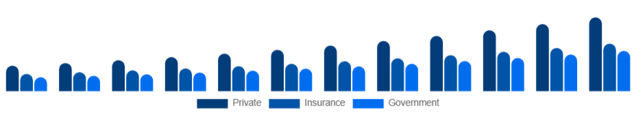 Turkey Air Ambulance Services Market Payer 2025-2033