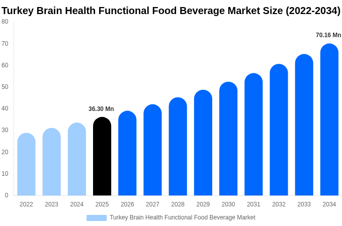 Turkey Brain Health Functional Food Beverage Market Size, Share & Growth Report By 2034