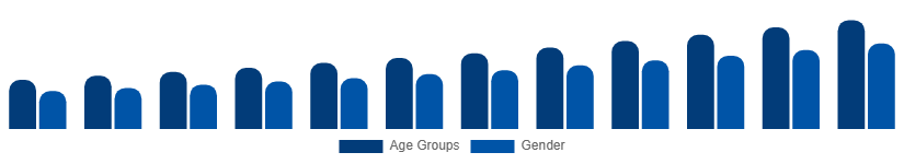 Turkey Digital Games Market Gamer Demographics 2025-2033