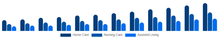 Turkey Elderly Care Market Service Type 2025-2033