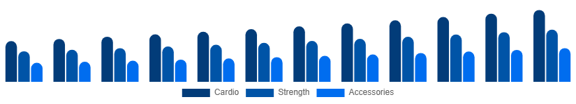 Turkey Fitness Equipment Market Equipment 2025-2033