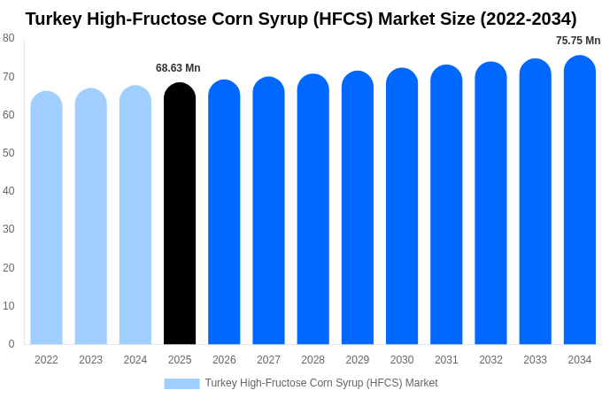 Turkey High-Fructose Corn Syrup (HFCS) Market Size, Share Report By 2034