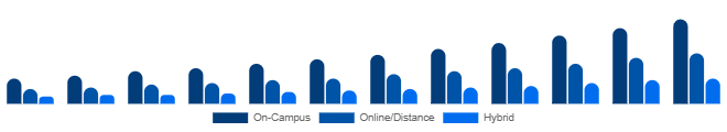 Turkey Higher Education Market Delivery Mode 2025-2033