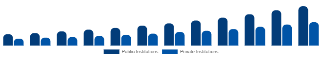 Turkey Higher Education Market Funding Source 2025-2033
