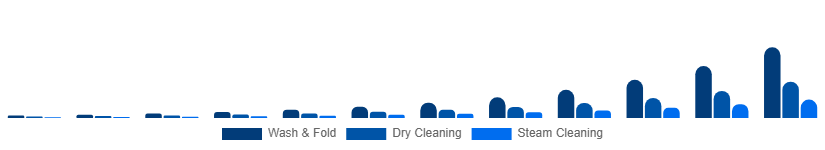 Turkey Online Laundry Service Market Service Type 2025-2033