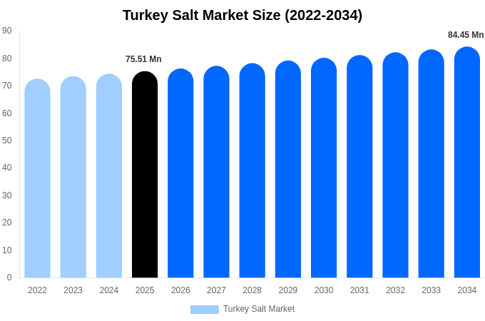 トルコ 塩市場 市場規模・シェア・成長レポート 2034年まで