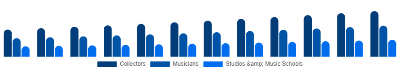 Turkey Vintage Guitars Market Application 2025-2033