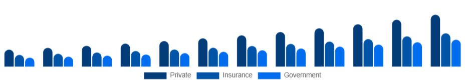 United Arab Emirates Air Ambulance Services Market Payer 2025-2033