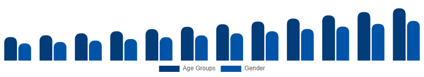 United Arab Emirates Digital Games Market Gamer Demographics 2025-2033