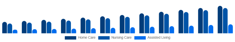 United Arab Emirates Elderly Care Market Service Type 2025-2033