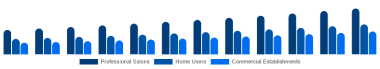 United Arab Emirates Hair Care Devices Market End-User 2025-2033